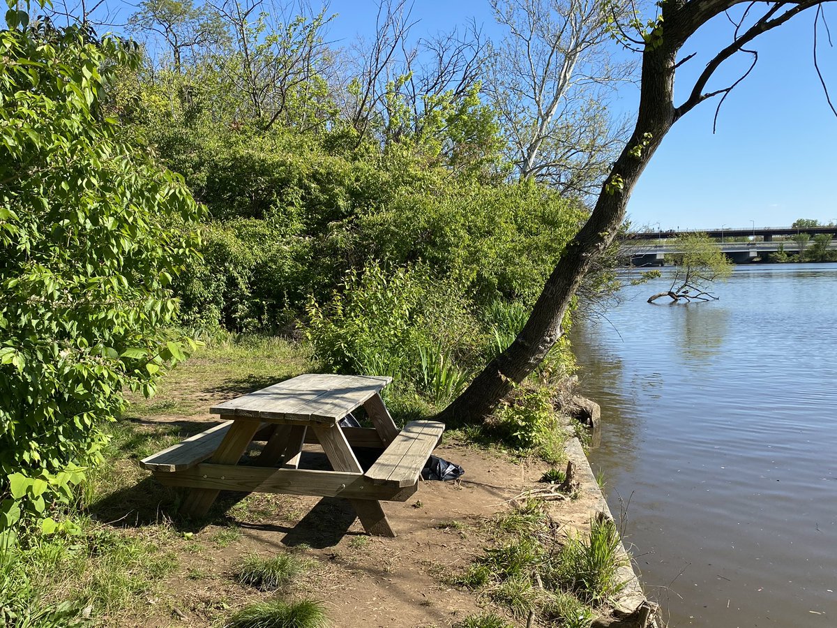 Happy  #EarthDay   from Friends of Kingman and Heritage Islands! There are great ways to participate this year, from remote trash pickups w/ @AnacostiaRrkper to plant identification w/  @CityNatureDC. And check out  @EarthDayNetwork’s website for global action:  https://www.earthday.org/earth-day-2020/ 