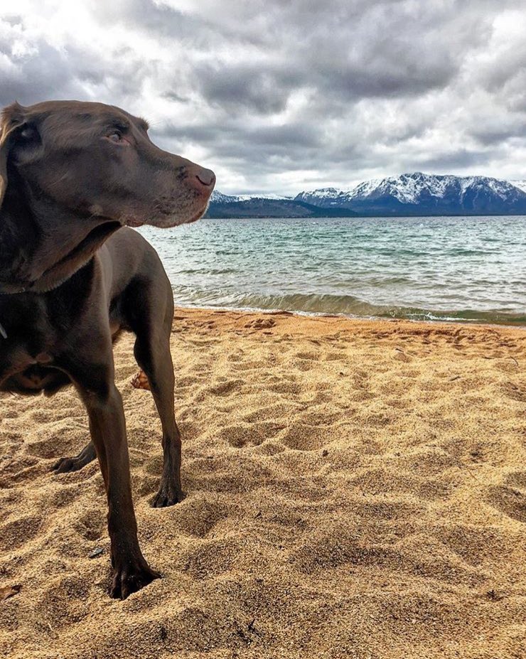 Hopkins_Amber's tweet photo. Happy Earth Day! Joining @people’s #ProtectThis campaign to celebrate things on this planet that deserve to be protected 💙🌎  #shotoniphone #EarthDay50 https://t.co/3LHJqzbzmt