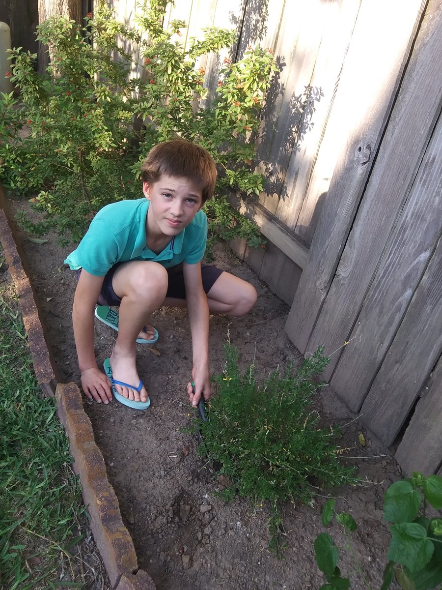 awtyintlschool's tweet photo. DISTANCE LEARNING IN ACTION: Today marks the 50th anniversary of Earth Day! To celebrate, the Awty community has shared their gardens! See some of Awty’s green thumbs growing fruits, vegetables, herbs, and all kinds of beautiful flowers!
#Awty1920 #Sustainability #EarthDay https://t.co/7cMb6xEgp1
