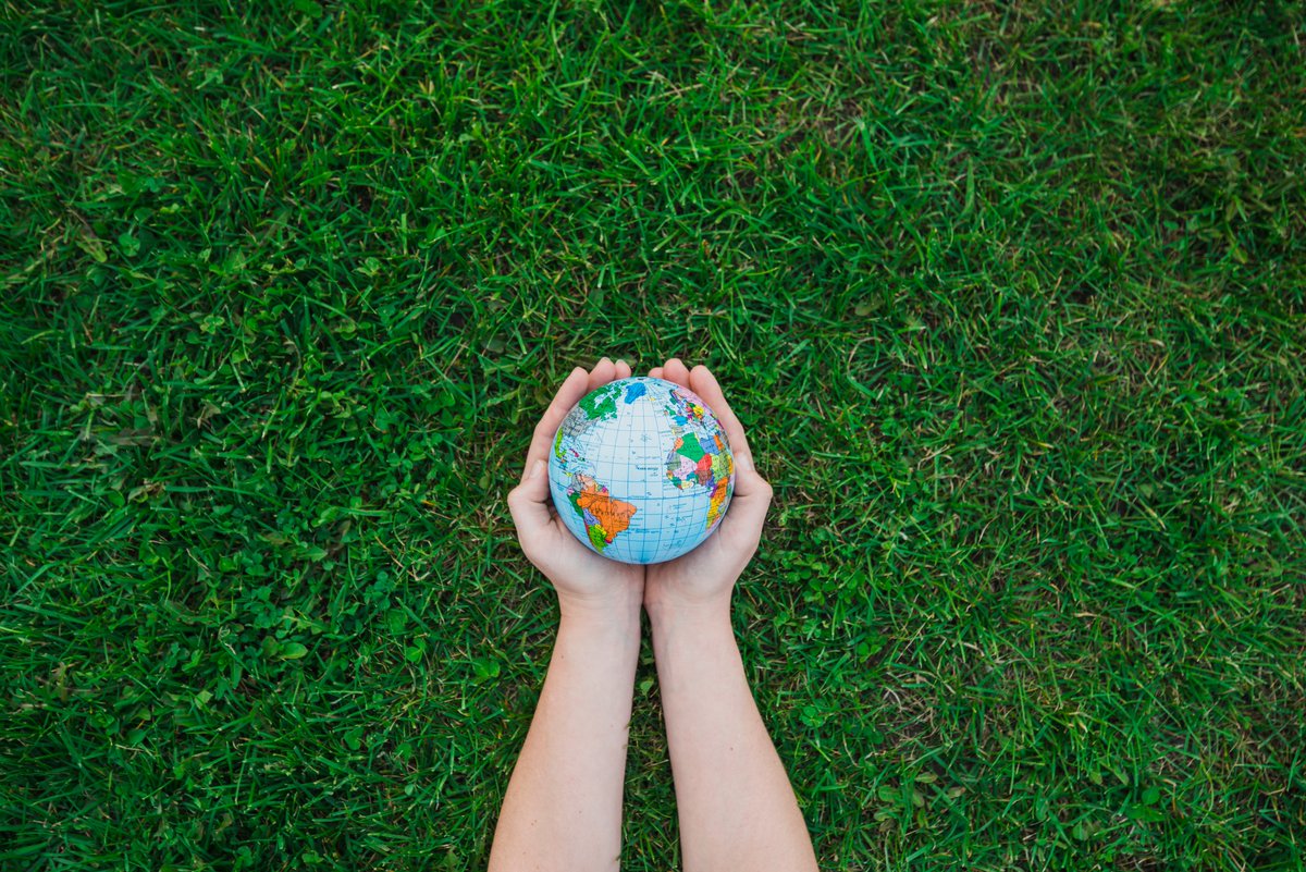 sd42news's tweet photo. Happy #EarthDay!!! 💙🌎 💚Want to learn more about our planet? #SD42 teacher librarians have curated a wide range of free online Remote Learning Resources for parents and students, including this Ecosystems Resource Reference Set for kids: https://t.co/M2GSVYXHJe https://t.co/dKQDZ2LNnz