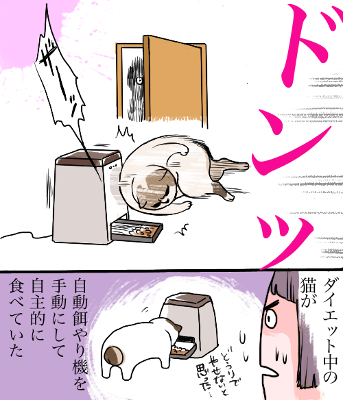 【猫】
コロナで家にいることで
猫がどう過ごしているのかを知った

#まんが #漫画 #日記 #JR漫画 