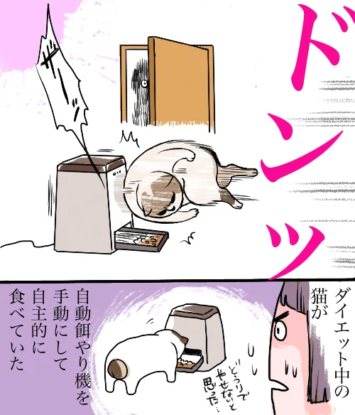 外出自粛で知った飼い猫の怪？不審な物音が聞こえる居間へ向かうと･･･www