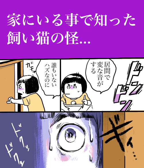 【猫】
コロナで家にいることで
猫がどう過ごしているのかを知った

#まんが #漫画 #日記 #JR漫画 