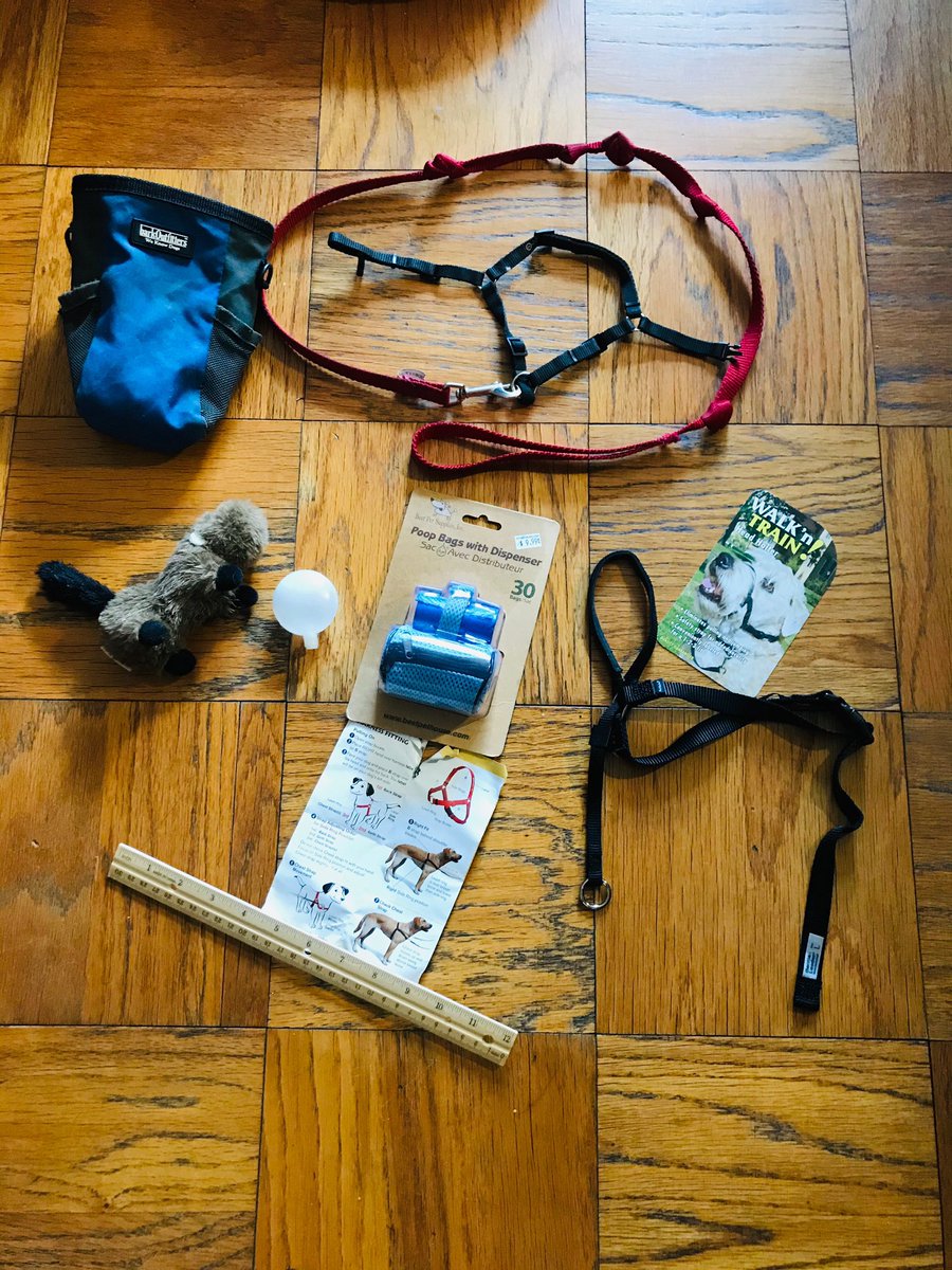 Tonight’s class is: Leash Etiquette &amp; Proper Equipment. We’ll be discussing how to choose the right gear for your dog plus how to execute successful “short &amp; sweet, meet &amp; greets.” Also included: beginning tips for good leash walking and reading body language! #dogtrainingclasses