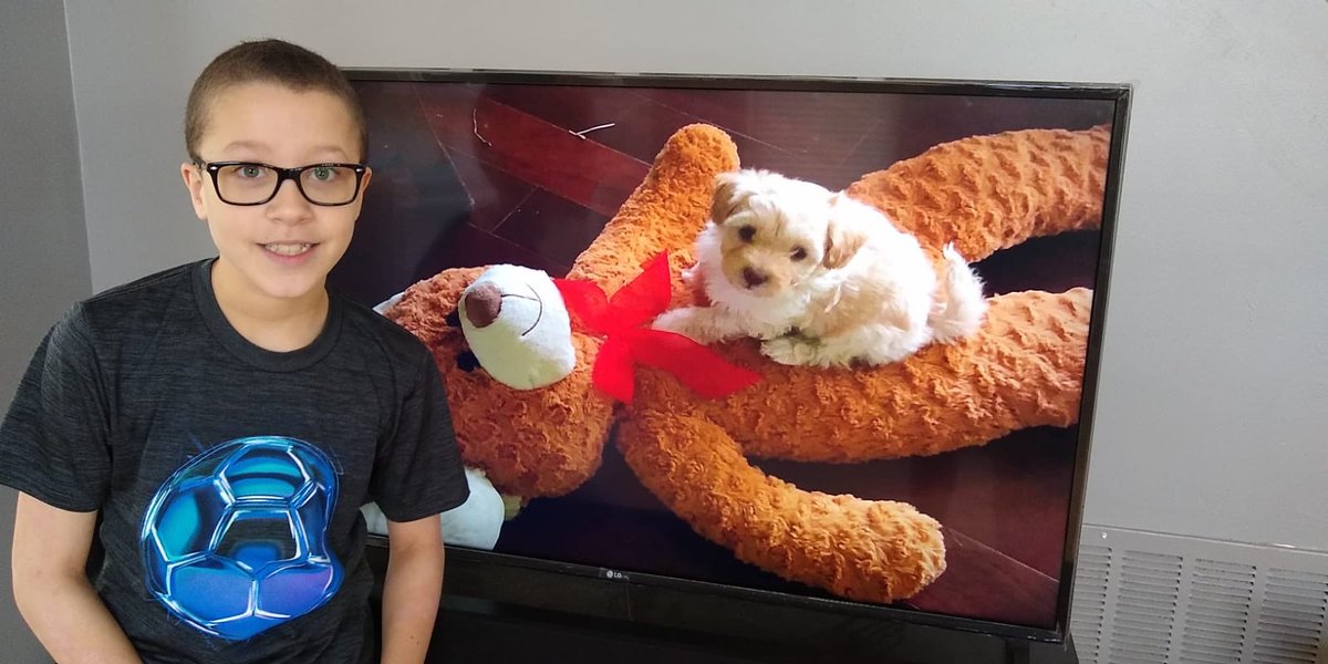 This little puppy in the back is what they’d love to have <a href="/SmokyRow1/">Smoky Row Elementary</a> <a href="/owenssre/">Samantha Owens</a> <a href="/GerthGrade4/">Gerth's Rockets Rock</a> #smokyrowathome