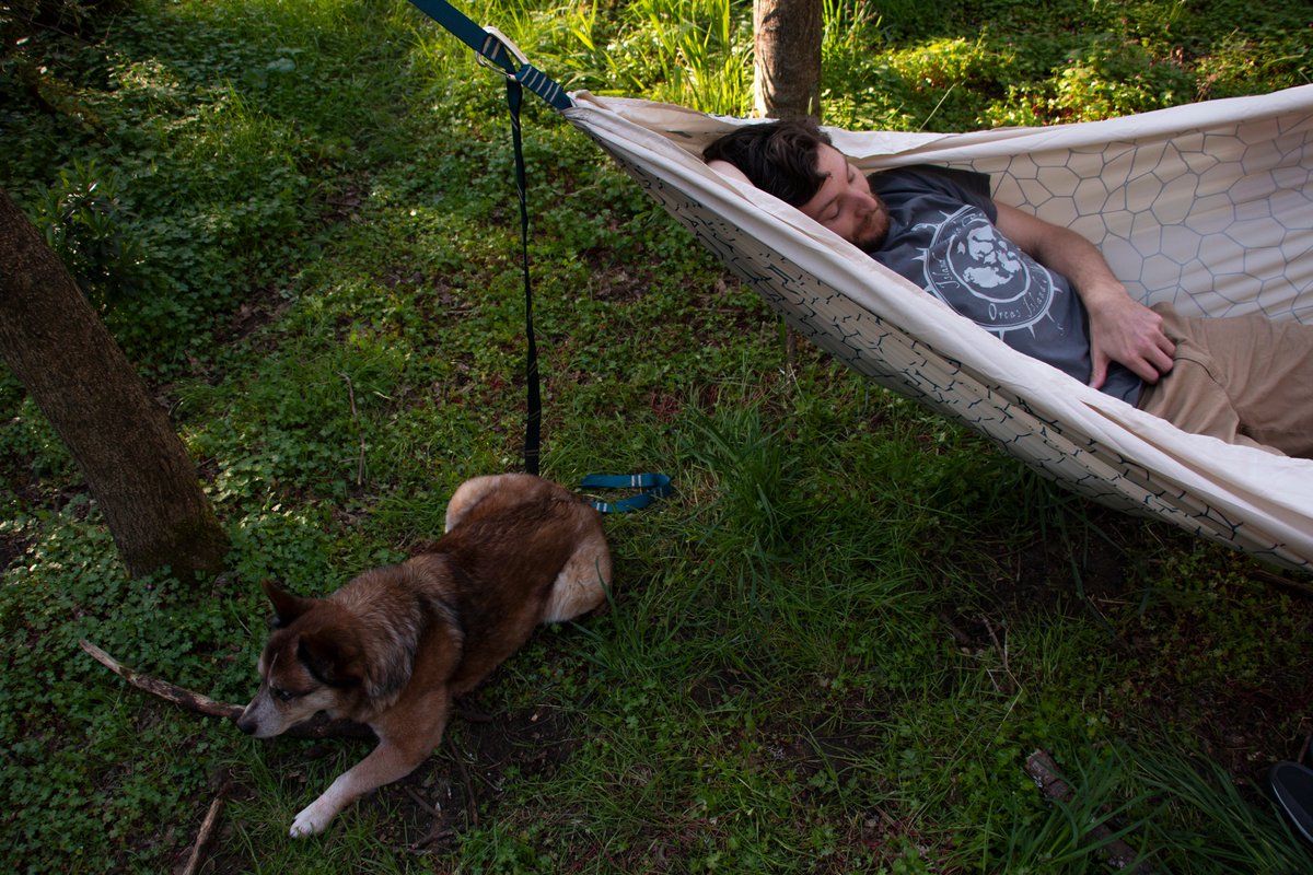 Ben Hammockin tweet media