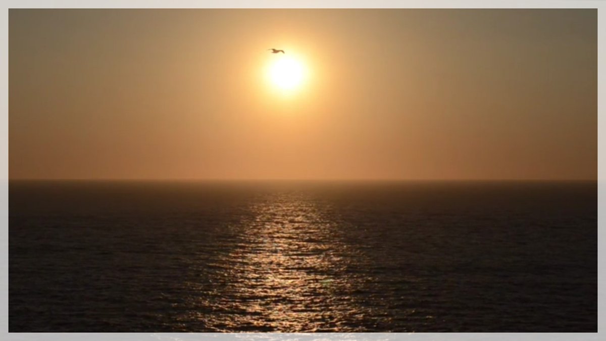 Recurriendo al "baúl de los recuerdos" para evocar esa "libertad" de otro tiempo y la belleza de la que estamos privados...

youtu.be/p-0WLVB-B5c

#QuedateEnCasa #Nostalgia
#DiaMundialDeLaTierra