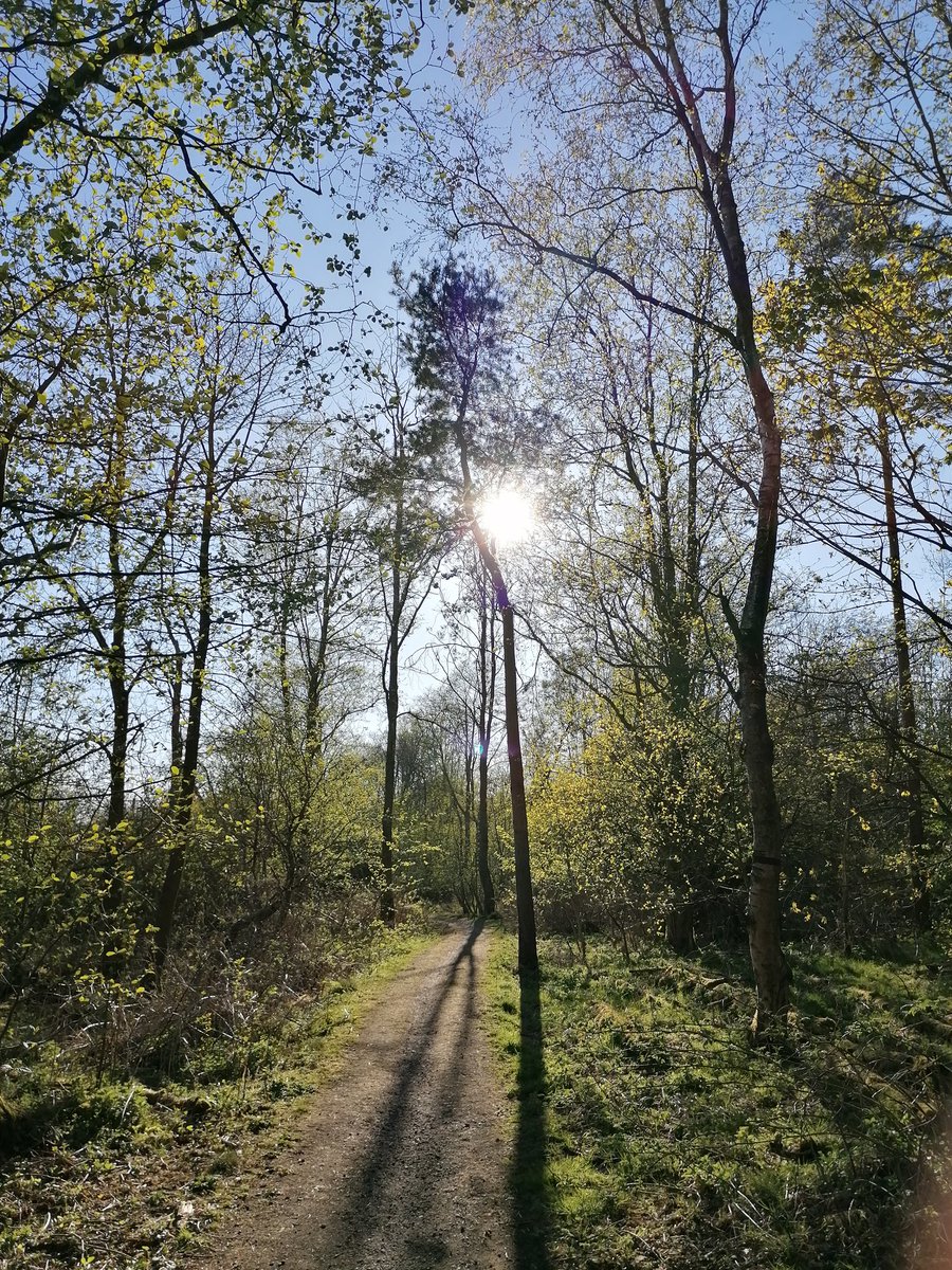 bex_oak's tweet photo. @StColumbasRCPS Not a creative piece of art, but a view I appreciated today on Earth Day 🙂🌍 https://t.co/gxqbNC3ruw
