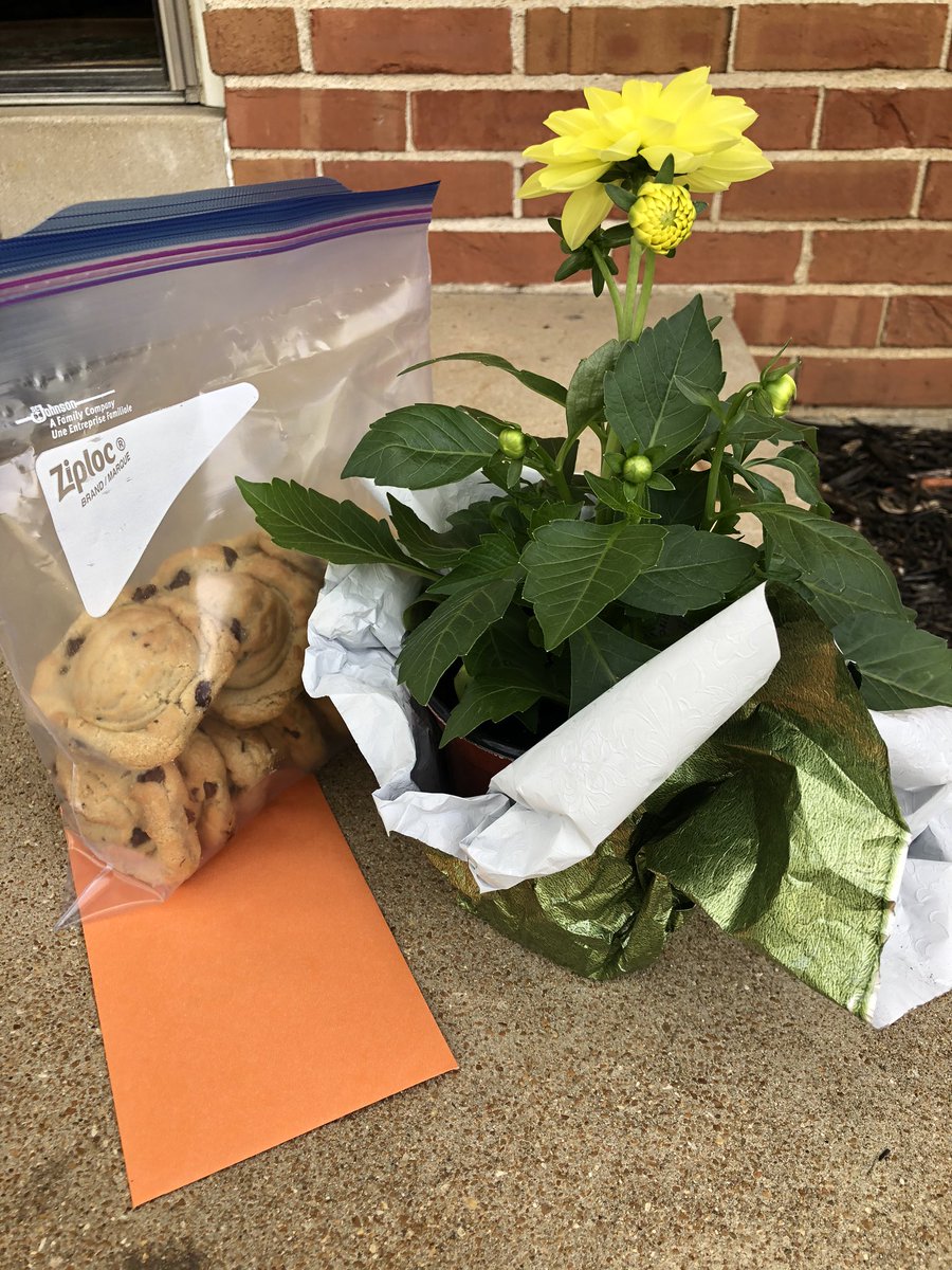 Angela Syron tweet media