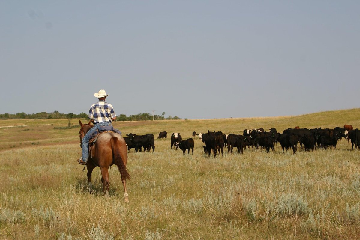 Happy Earth Day! 

“Good, better, best. Never let it rest, until your good is better and your better is best.”