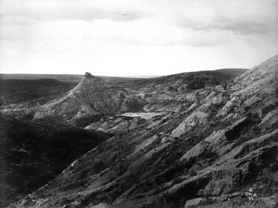 in 1883 G. Dawson and his assistant R. G. McConnell did an extensive survey of southern Alberta, extending into Saskatchewan and BC. One site they collected from was Fossil Coulee (pictured). Everything they found was lost when they ship carrying them caught fire (no one harmed).