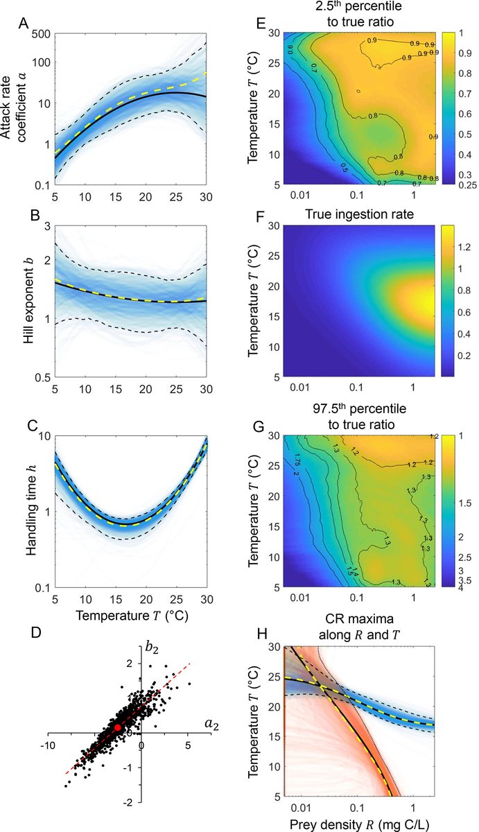 ESAEcosphere's tweet image. A best-practices guide to functional response fitting. #functionalresponse #openaccess @wojciech_uszko 

esajournals.onlinelibrary.wiley.com/doi/full/10.10…