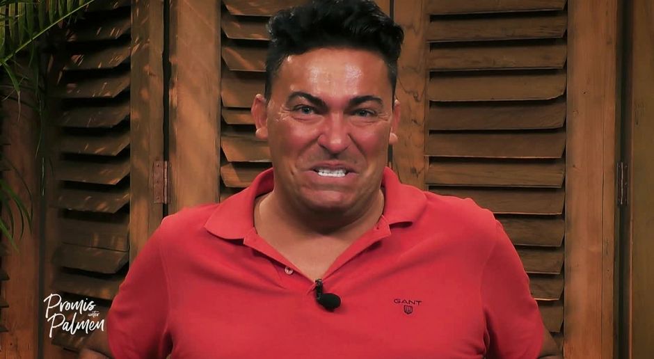 On Twitter Dinge Auf Die Ich 2021 Und Bis Ans Lebensende Verzichten Kann Promisunterpalmen