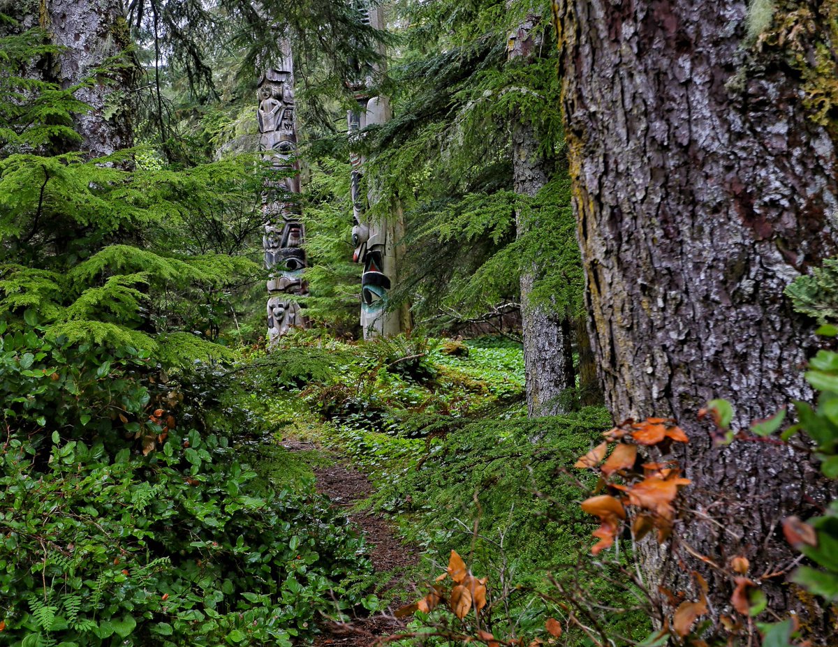 AKDreamCruises's tweet photo. Happy Earth Day! We understand the importance of sustainability, environmental respect + giving back to the community so we can continue to share Alaska for generations to come. Read more about our commitment to sustainable operations here: https://t.co/GaiYdZkseT. #TrueAlaska https://t.co/SiOtkSlezN