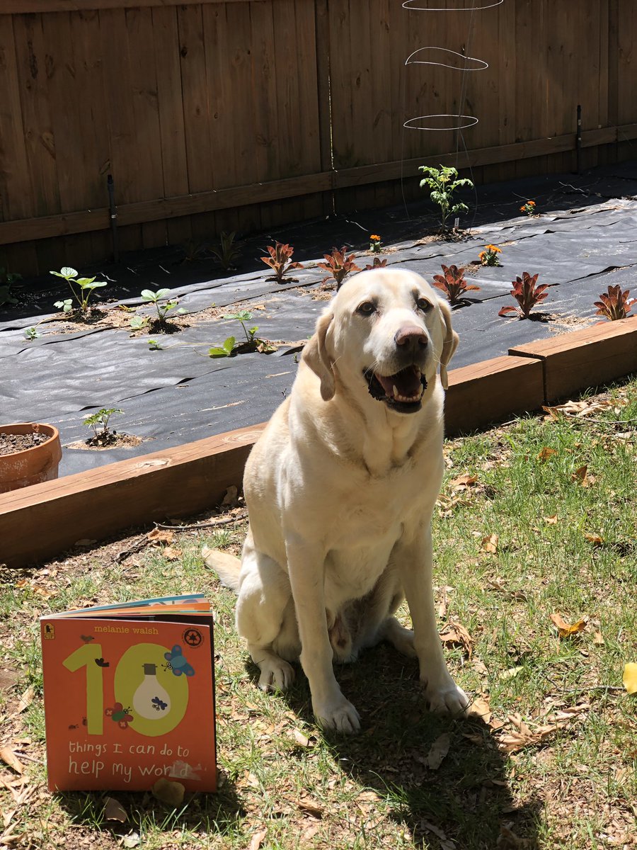MrsGrayRCE's tweet photo. HAPPY EARTH DAY! ♻️🌍🌻🌳 First grade Rangers and parents, be sure to check your email for two fun read alouds from your teachers! We love you and miss you greatly! #oneRCE #GrowingInFirst https://t.co/oT63d91yQZ