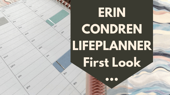 Elizabeth_CBHL's tweet photo. Erin Condren LifePlanner New First Look https://t.co/CvhjXrluVH https://t.co/dVQCtSksdL