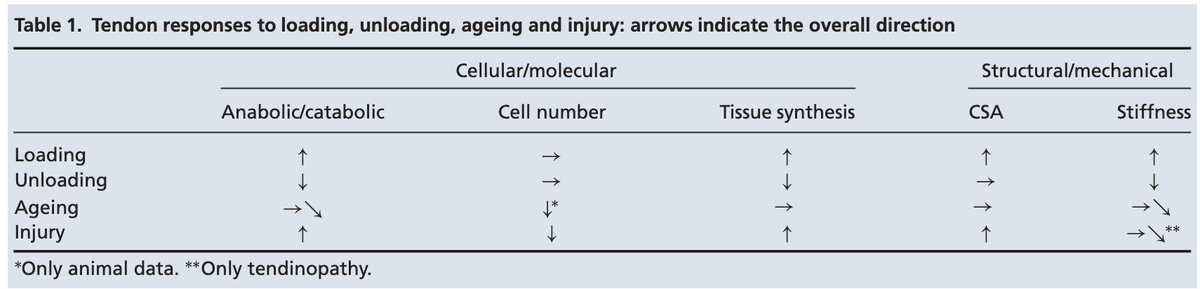 colingriffin's tweet photo. Higher risk of tendon injuries right now with many people running a lot more than normal. Same for team sports who may have a very short and accelerated pre-season when games resume having not been able to train at regular intensity. Tendons don't like holidays or big surprises! https://t.co/dQ0s5DkHRz
