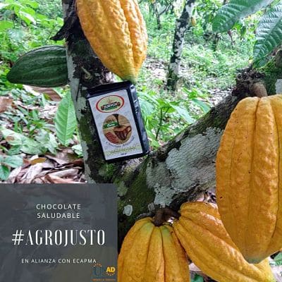 CAMPOUNAD tweet media