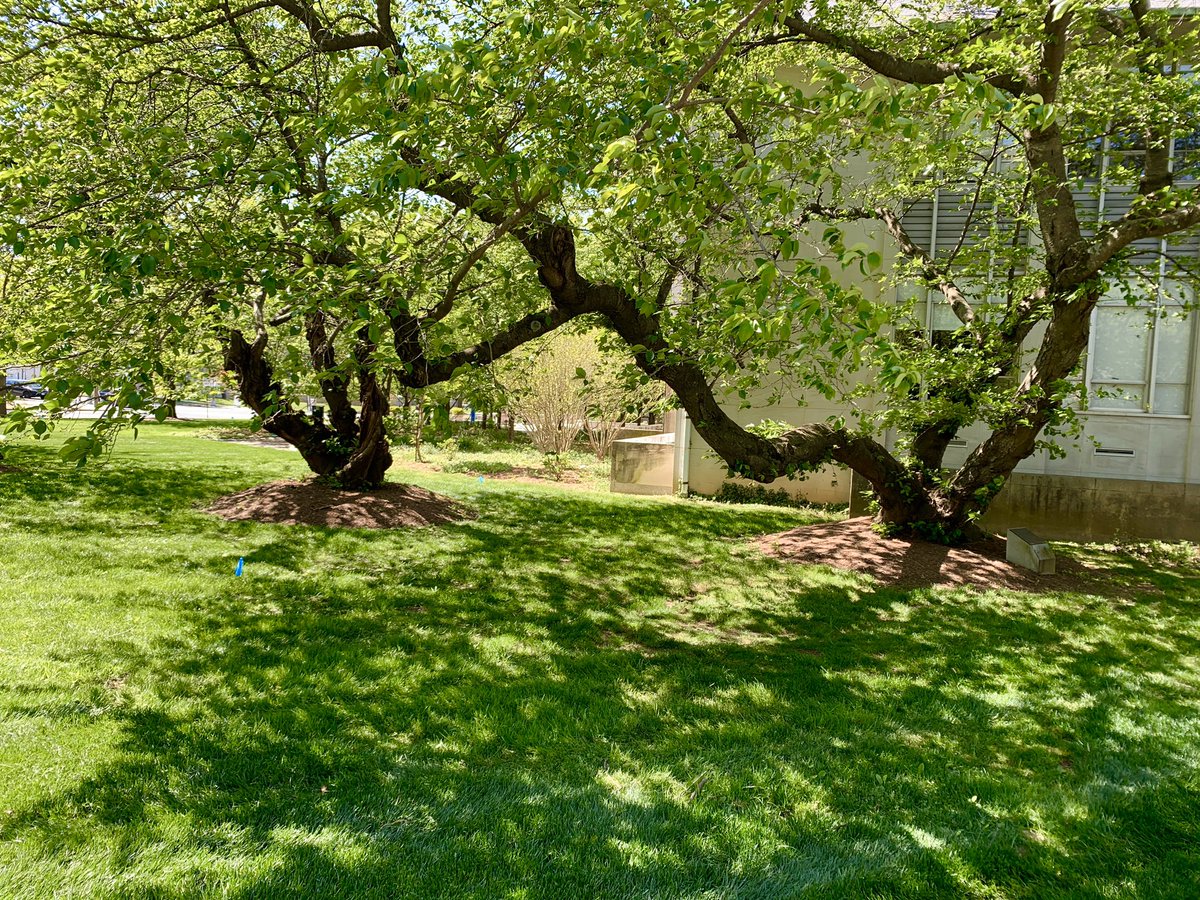 AUArboretum (@auarboretum) on Twitter photo What better way to celebrate the 50th anniversary of Earth Day than visiting the <a href="/AUArboretum/">AUArboretum</a> What better way to celebrate the 50th anniversary of Earth Day than visiting the <a href="/AUArboretum/">AUArboretum</a>