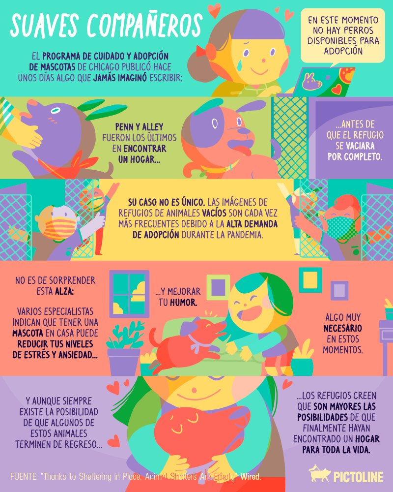 pictoline's tweet photo. Una buena noticia en tiempos de pandemia:
🐶 Cada vez más mascotas de refugios están encontrando un hogar 💖 https://t.co/bhowpETi6C