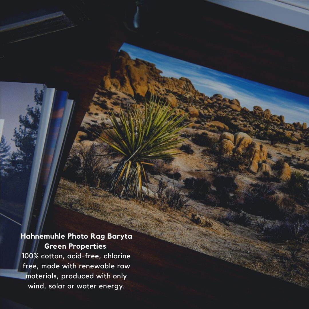 ShopDuggal's tweet photo. Happy Earth Day! 🌏

Sustainability has always been an important part of #duggal’s mission. Learn more about some of our eco-friendly papers and join us in dreaming about in exploring this beautiful earth again soon.

#duggalcares #EarthDay50 #EarthDayAtHome https://t.co/iSfBbDGfVW