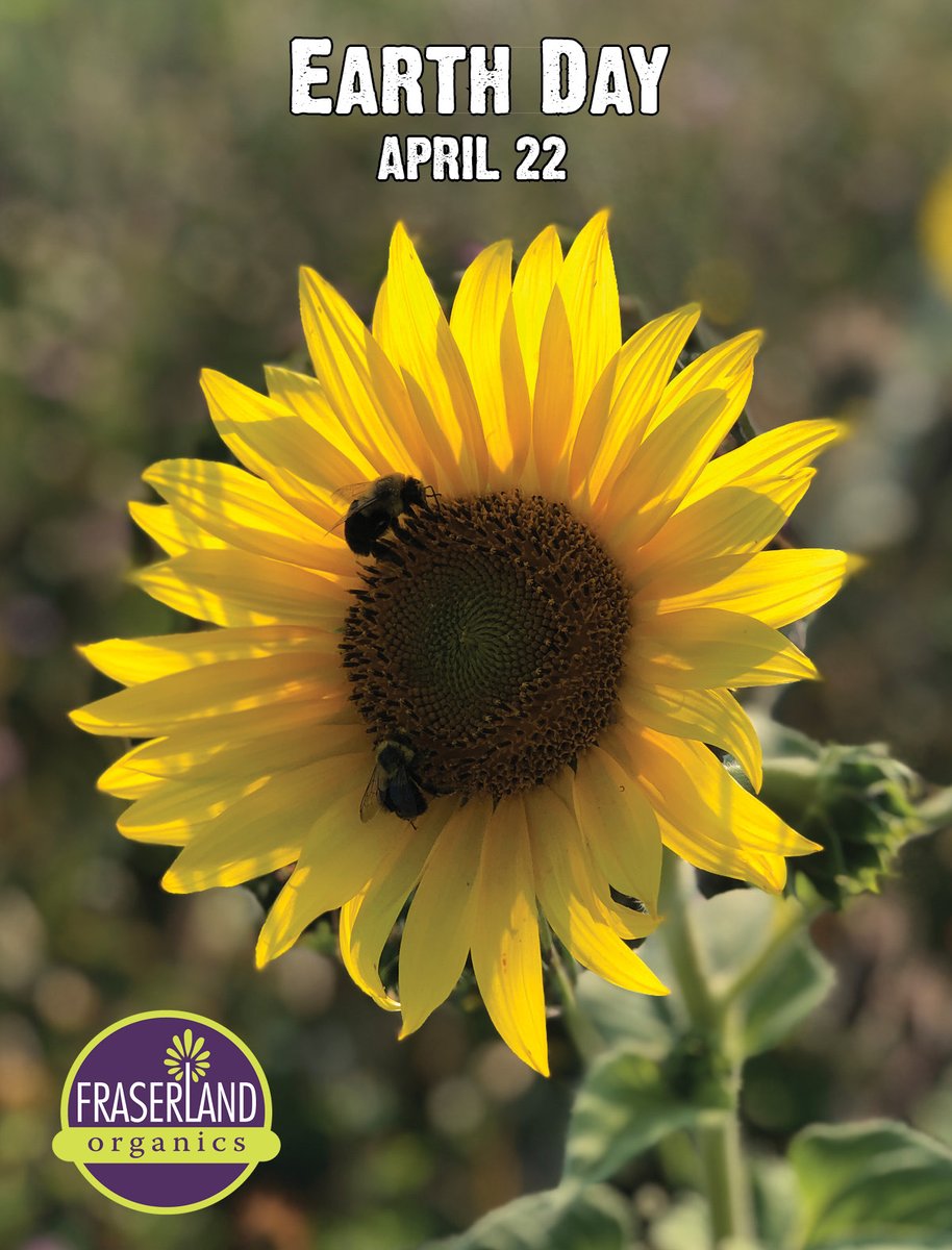 The environment is something we all share, lets enjoy it and it take care of it. Small changes can have big results. #makeadifference #earthday #thoughtfulfarming