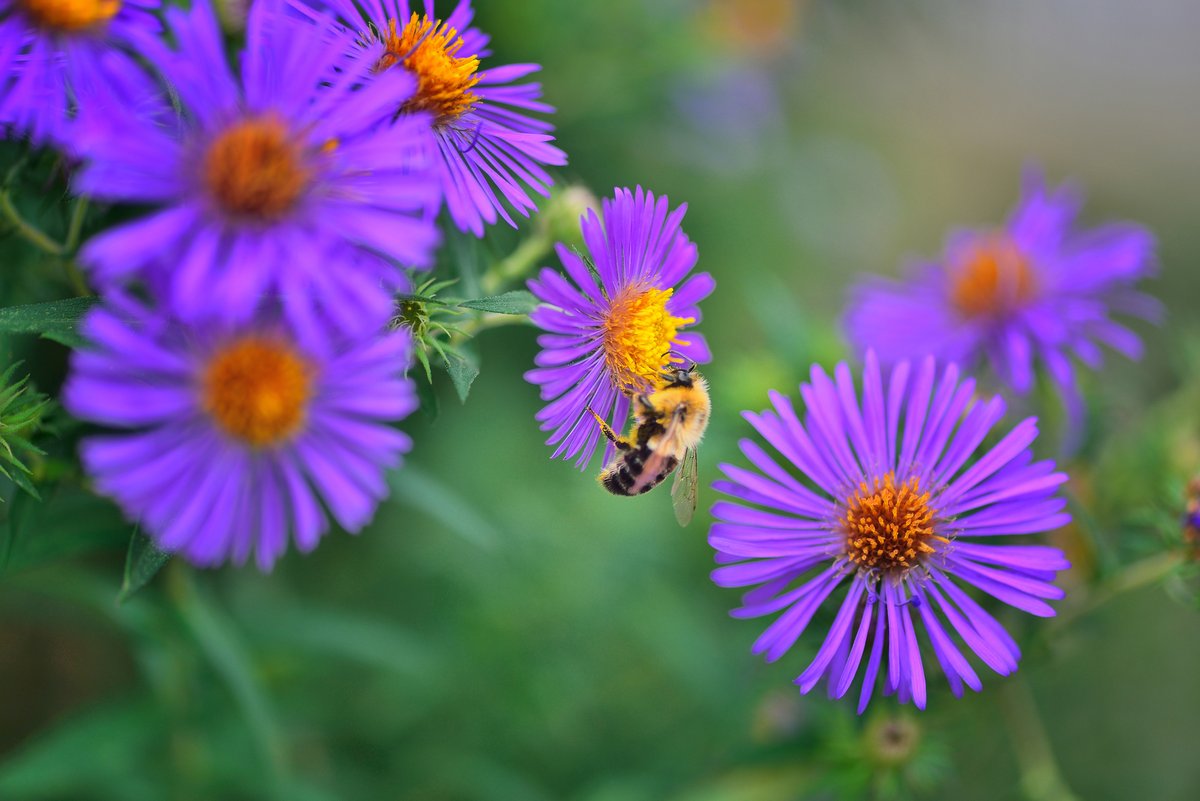 You might not be able to plant a tree for Earth Day, but you can still take a moment to appreciate our beautiful planet today!