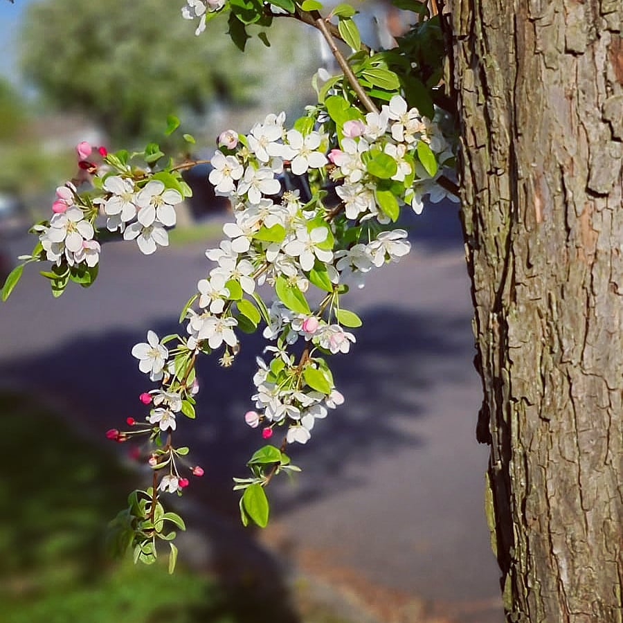 Riverside Kelham Riversidekelham Twitter