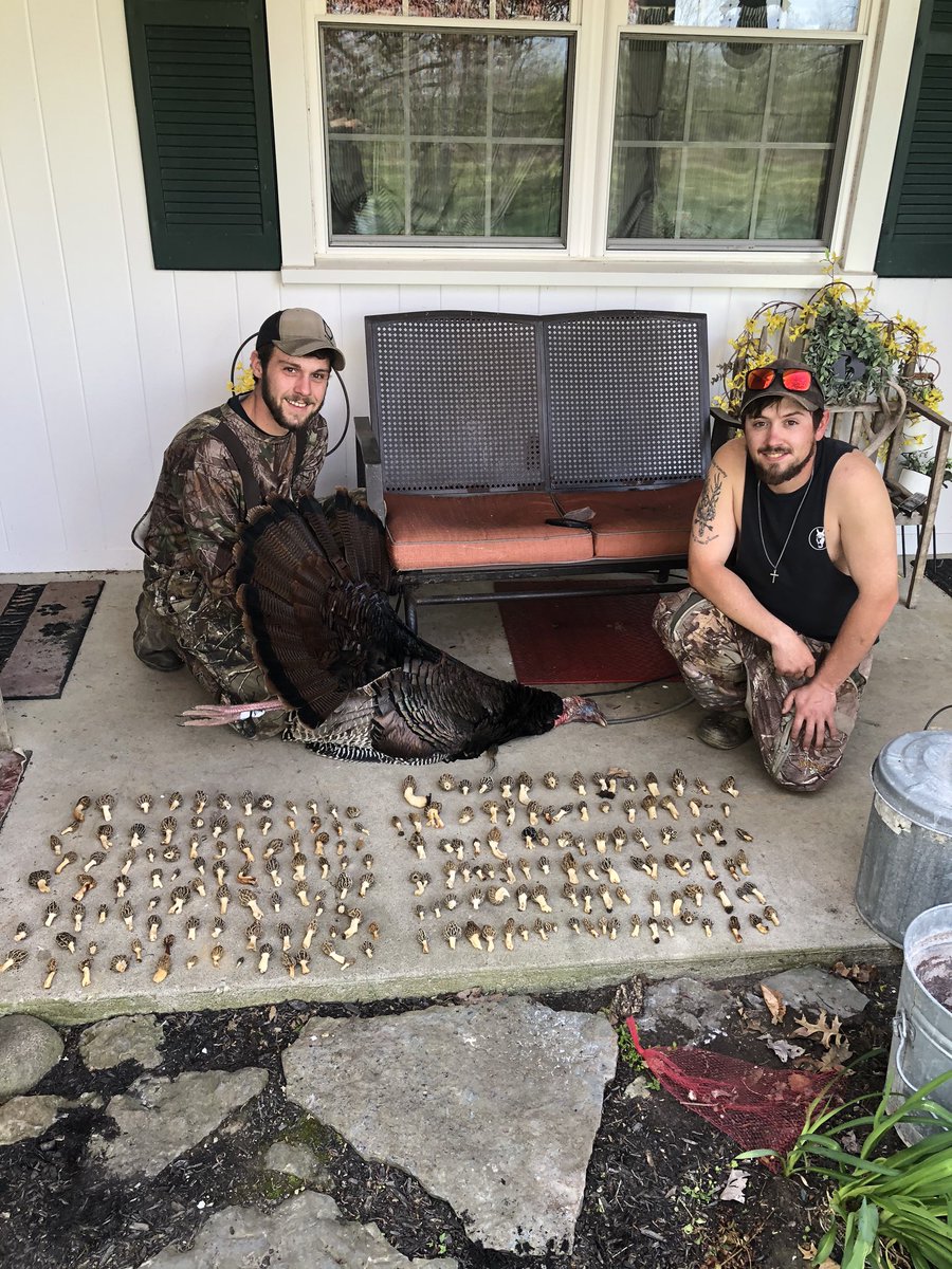 What a day 200 morels an a gobbler