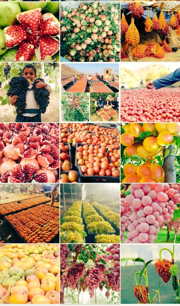 e_taiz's tweet photo. #بلده_طيبه_ورب_غفور
#ارض_الجنتين
#اليمن_بلاد_الخيرات
#تعز #حضرموت #الجوف #صنعاء #مارب #عدن #سيئون #اب #الحديدة #ذمار #رداع #الخوخه #المخا #ريمه #شبوه #البيضاء https://t.co/dZkyJig8Nb