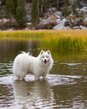 MariaBi63155744's tweet photo. Happy Earth Day my frens! There’s only one Mother Earth. Let’s do all we can to protect her, so we can fully enjoy all of her beauty! #EarthDay2020 https://t.co/RrTKjIws6l