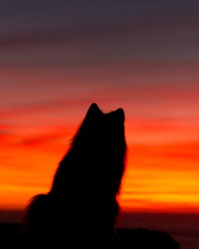 MariaBi63155744's tweet photo. Happy Earth Day my frens! There’s only one Mother Earth. Let’s do all we can to protect her, so we can fully enjoy all of her beauty! #EarthDay2020 https://t.co/RrTKjIws6l