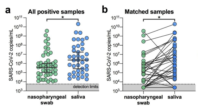 A super useful new study led by @awyllie13 shows that saliva is a better diagnostic sample for #COVID19 testing than nasopharyngeal swabs. Switching to saliva solves problems of shortage of swabs, PPE, saves healthcare labor and gives better sensitivity and consistency 👍🏽