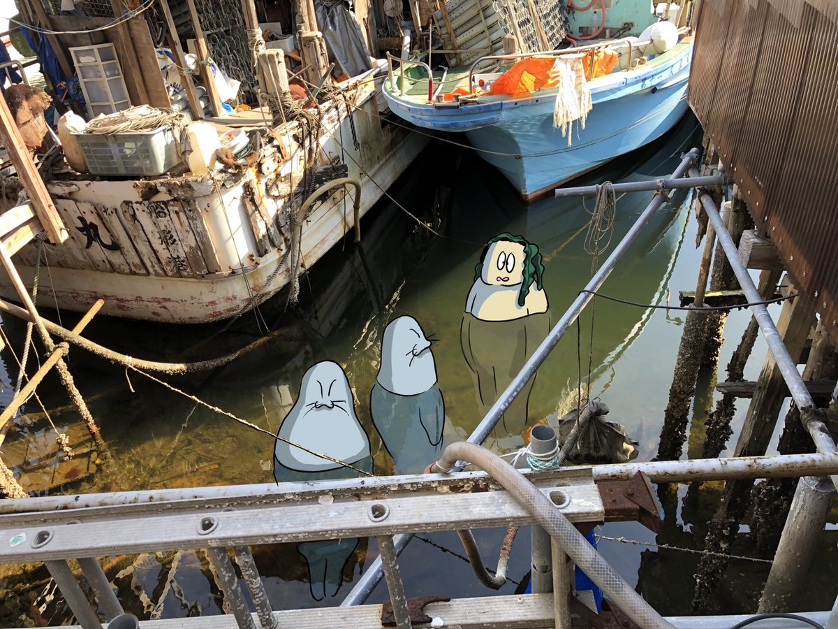 小林 紗織 小指 على تويتر 神奈川区の子安港です 船が沢山泊まっていて圧巻の景色 通りすがりのおばあさんが この辺りはシャコ 漁だよ と言っていた うちの祖母は戦後 本牧の露店でシャコを売って生計を立てたと聞いていたから もしかしたらここで釣ってきてたの