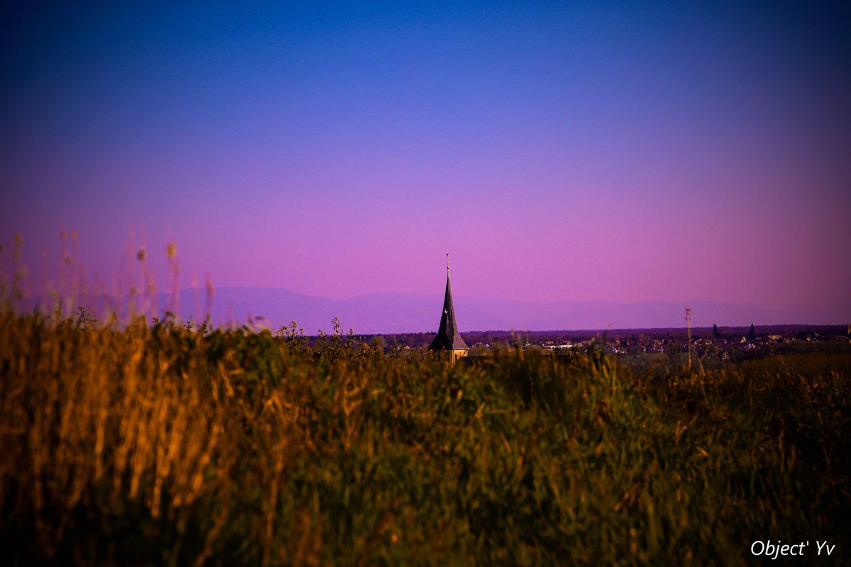 Object_YV's tweet image. 