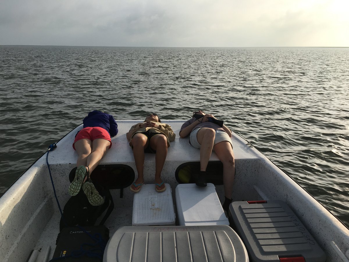 WildCora's tweet photo. @vcrlter grads & post-docs -- see you at 5:30pm today for a virtual check in and chill.
I'd bring the dock if I could.
(Let me know if you didn't get the email and want details.)
#resilientresearchers #gradlife #dockoclock https://t.co/p8fggSFmOQ
