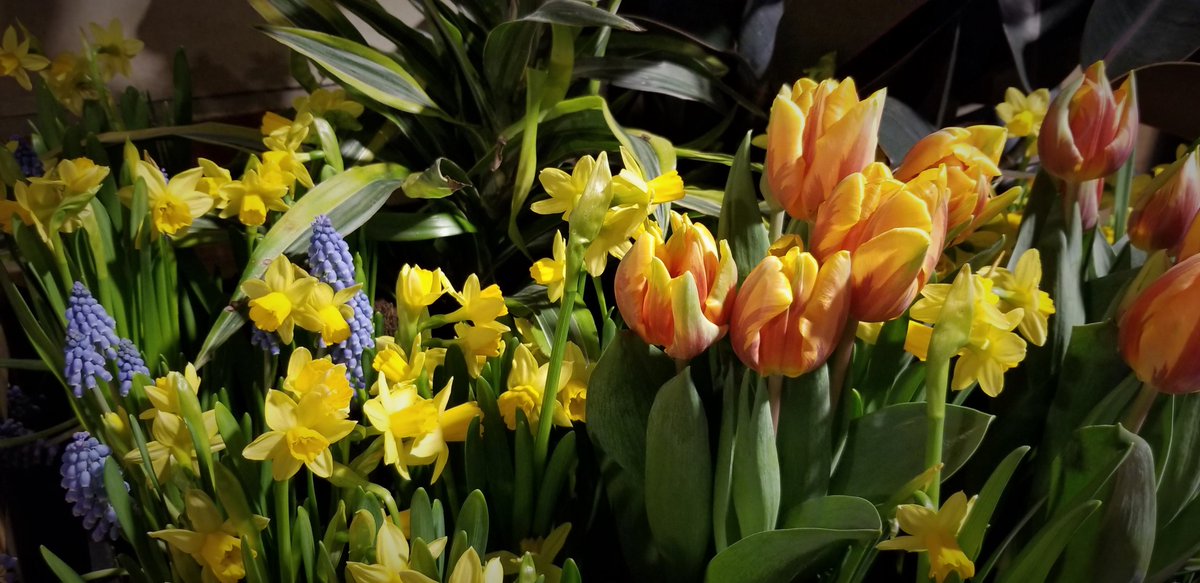 Happy #EarthDay2020 from the Utopia team! #LiveWellLiveInspired #WeAreInThisTogether

utopiaseaport.com