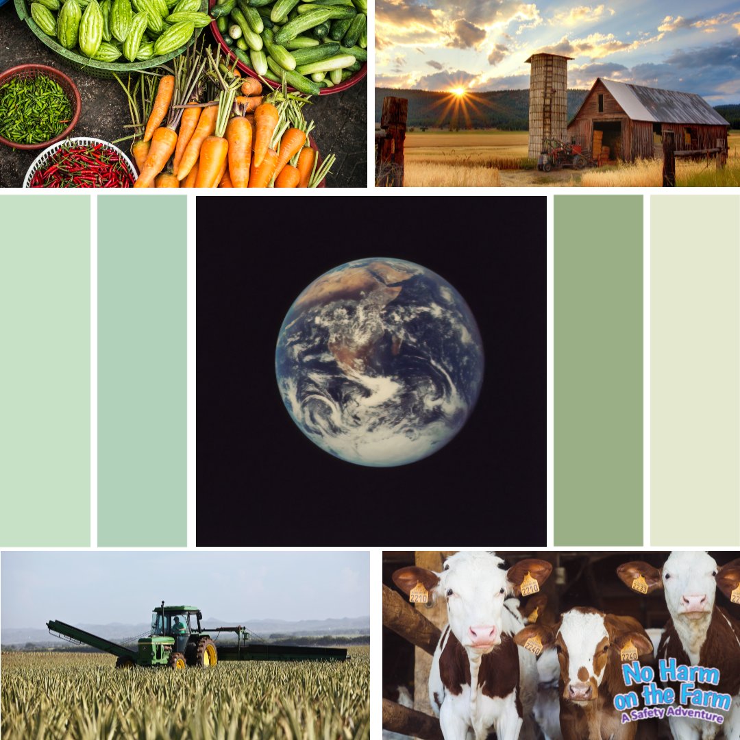 NHOTF's tweet photo. HAPPY EARTH DAY! 🌍Today we give thanks and celebrate Mother Earth for everything she does for us, especially on the farm!

Check out @earthdaynetwork for virtual, family friendly events to explore all the fun things everyone is up to around the globe!
#noharmonthefarm  #EarthDay https://t.co/arE71B3YTv
