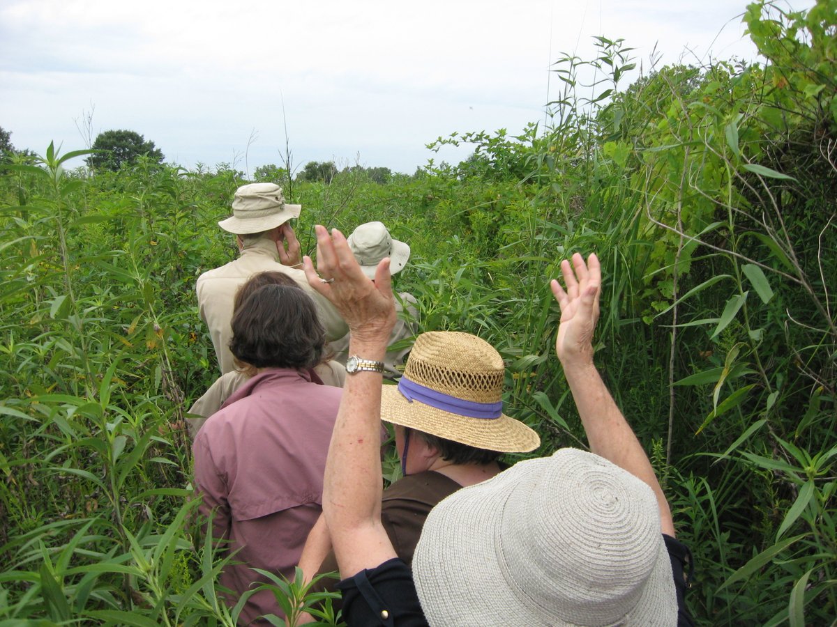 WeGoHistory's tweet image. Happy #EarthDay! Do you know the history of our West Chicago Prairie? Head on over to our Facebook page and read about one of Illinois' best native #prairies facebook.com/FriendsoftheWe… #MuseumFromHome #localhistory #WestChicago