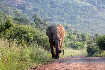 MariaBi63155744's tweet photo. Happy #EarthDay2020 from Africa, the world's most wonderful continent Smiling face with heart-shaped eyes https://t.co/W3JBJiDk9E