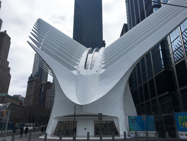 Liyma Isha 🇺🇸 (@ishaliyma) on Twitter photo 