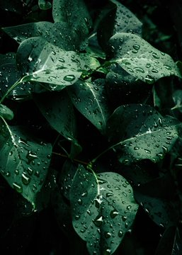 MariaBi63155744's tweet photo. We live on a beautiful, powerful, and delicate planet.  Let's be gentle to it
#EarthDay2020 https://t.co/n1G3ozXPo0
