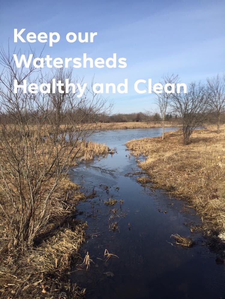 HomeScienceBlog's tweet image. On this Earth Day it’s critical to focus on issues of the present, but it’s important not to forget the future.