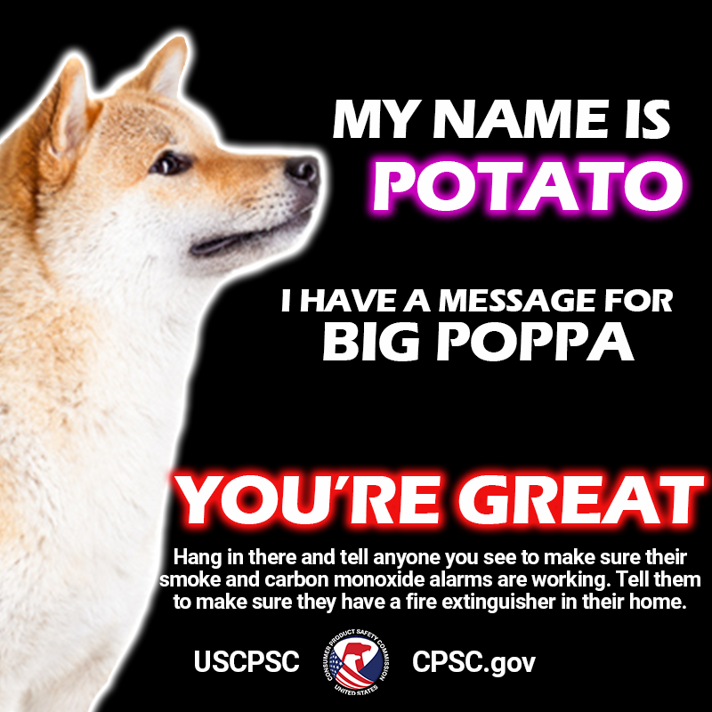 A picture of potato the dog. The text reads. My name is potato. I have a message for big poppa. You're great. Tell everyone you see to make sure they have working smoke and CO alarms and a fire extinguisher in their kitchen.