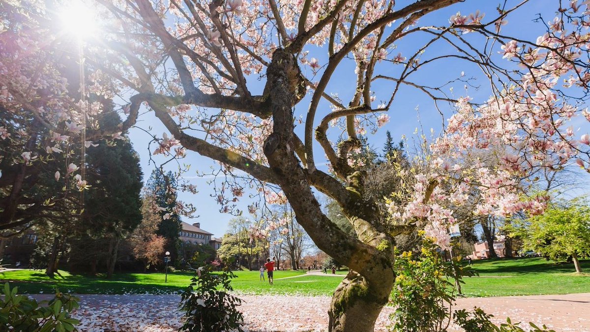 WWUAthletics's tweet photo. Happy Earth Day!
What a beautiful corner of the earth we call home here in the Northwest.
#Bellinghome #PNWonderland #EarthDay2020 #WWU https://t.co/un3cdjNlXS