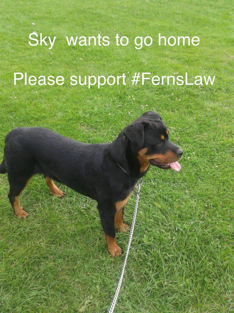 #GetSkyHome

Sky wants to go home now. Please support #FernsLaw 

bit.ly/2XIkTW2 bit.ly/2RPYAKf