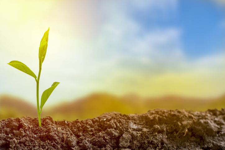 Today we celebrate the 50th anniversary of Earth Day. A silver lining as we shelter in place is mother earth is also getting a break. It’s a perfect time to take a nature walk, enjoy the fresh air and consider ways you can help the planet.  Happy Earth Day! #EarthDay2020