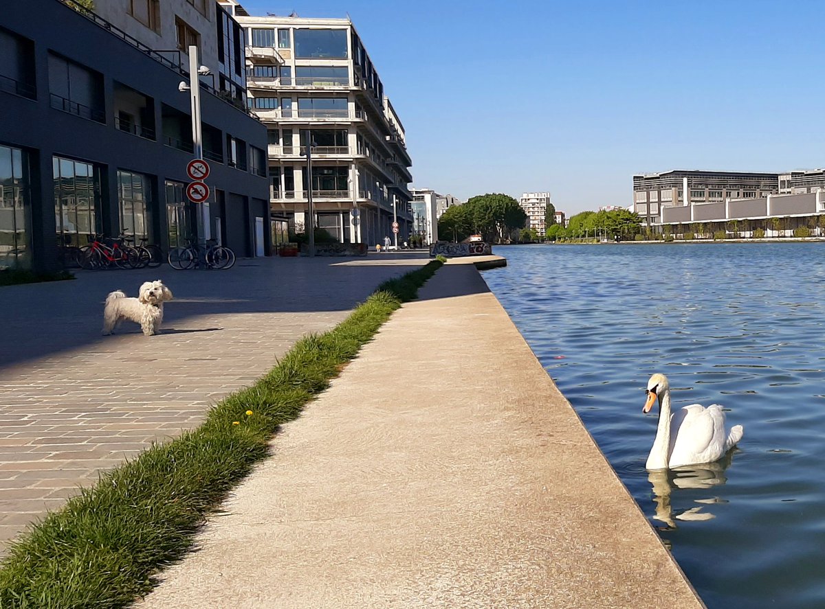 Louis-Pierre Samain tweet media