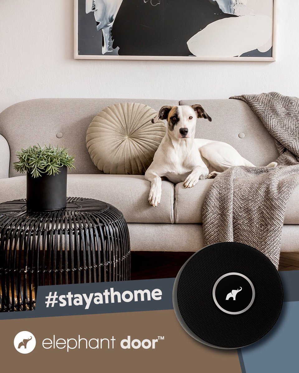 myelephantco's tweet photo. Stay at home. Stay safe💪 Elephant smart safety  #StayAtHome #StayHealthy #safety https://t.co/pWBRT7bQ7o