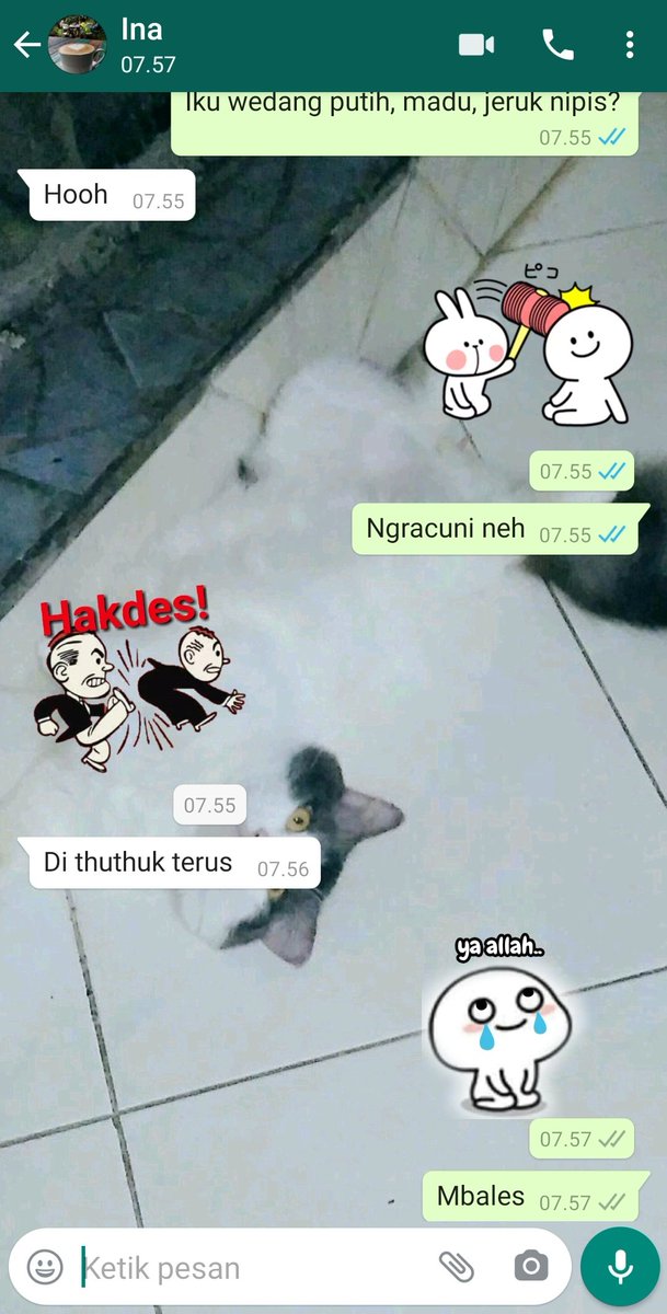 ichwan09's tweet photo. Goro2 madu @TrigonaSeno, paseduluranku ro @bojoneba retak 😢, pdhl madune tekan wae durung cc mbok @fitsalma
#gelut https://t.co/00UbbrNiW0